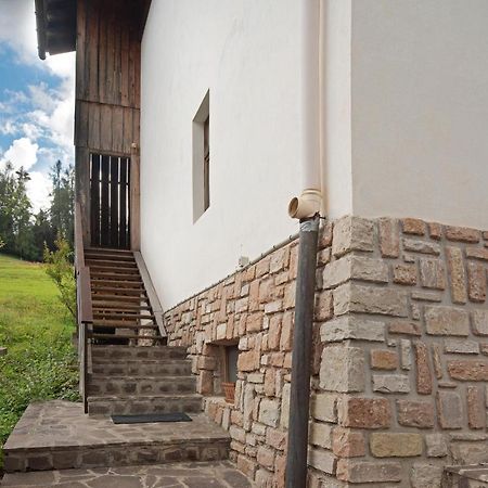Casa De Lorenzo Vodo Cadore Dış mekan fotoğraf